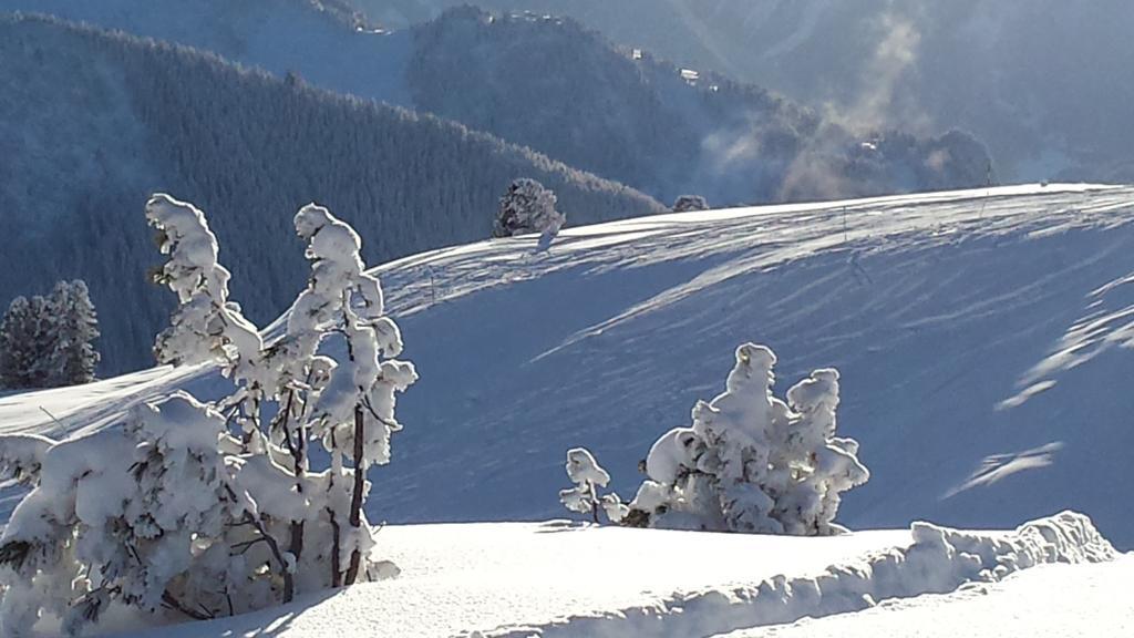 Landhaus Tirol Appartement Zellberg Buitenkant foto