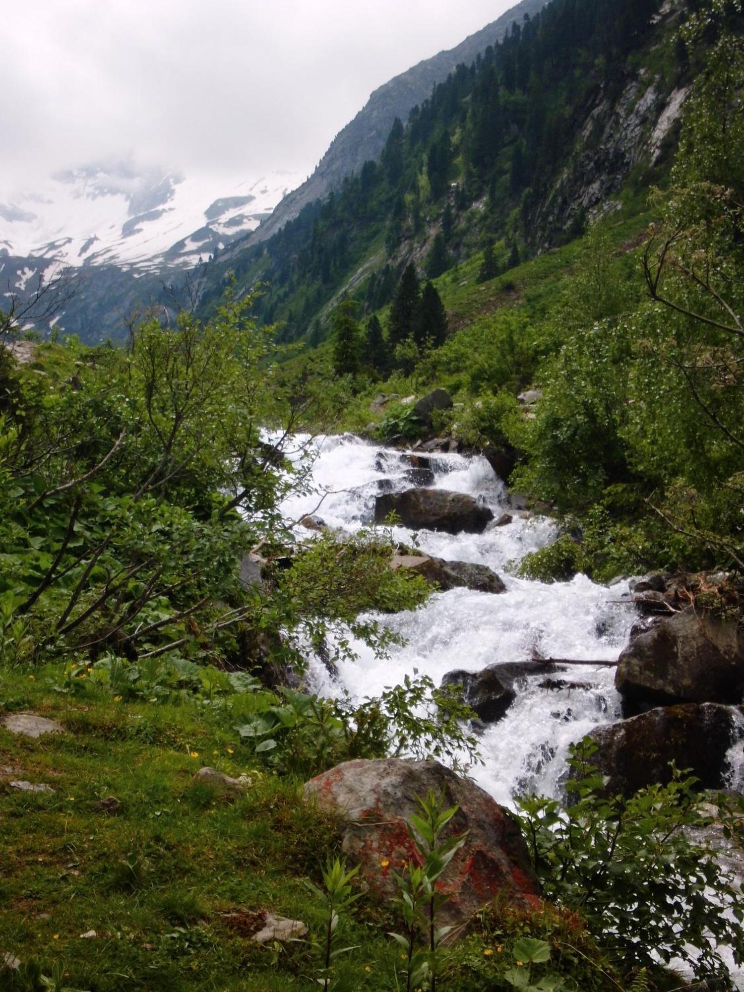 Landhaus Tirol Appartement Zellberg Buitenkant foto