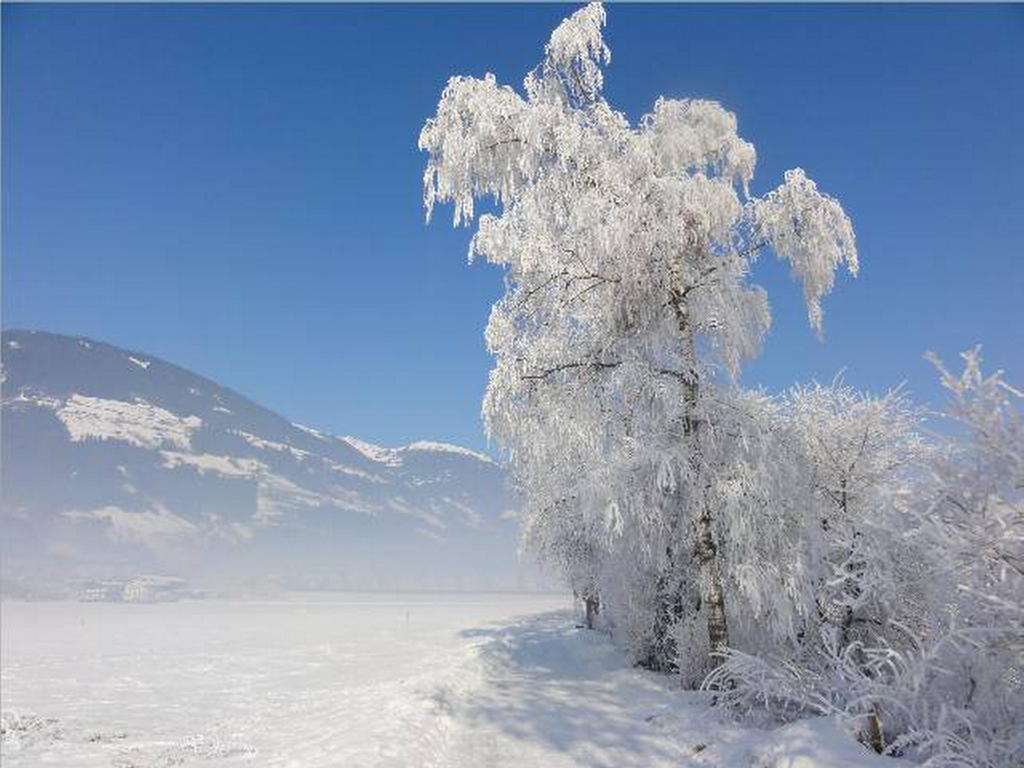 Landhaus Tirol Zellberg Buitenkant foto